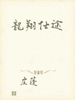 龙翔仕途