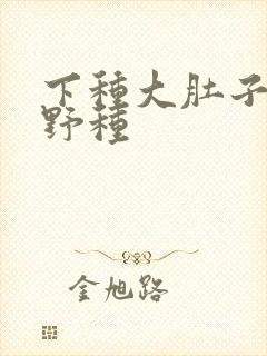 下种大肚子怀孕野种