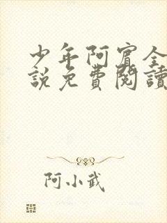 少年阿宾全文小说免费阅读笔趣阁