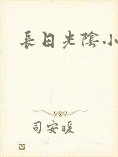 长日光阴小说
