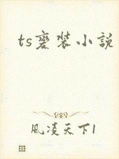 ts变装小说
