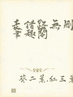 走错路无删减版笔趣阁