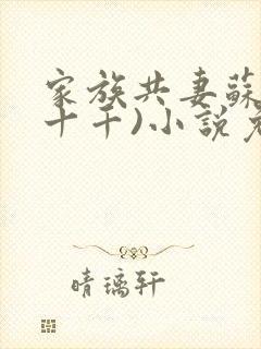 家族共妻苏苏(十千)小说免费