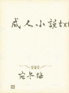 成人小说txt