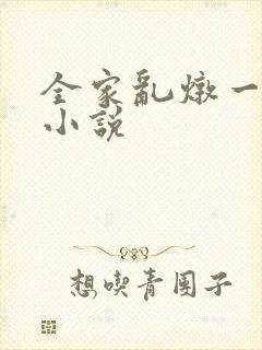 全家乱炖一锅烩小说
