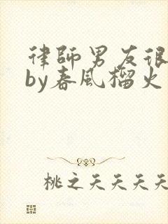 律师男友很难撩by春风榴火