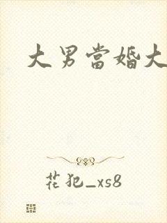 大男当婚大结局