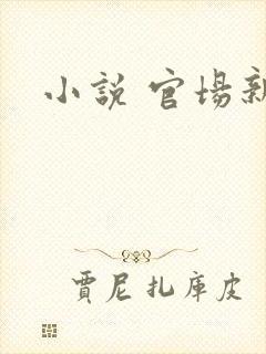 小说 官场新贵