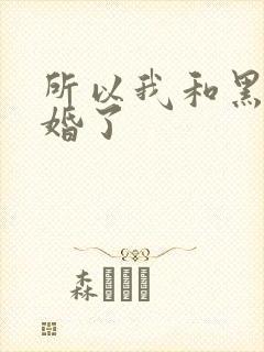 所以我和黑粉结婚了