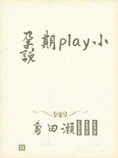 孕期play小说