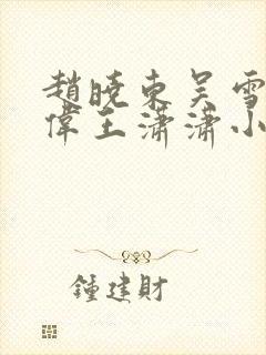 赵晓东吴雪晴郑伟王潇潇小说名字