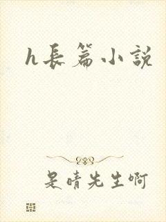 h长篇小说