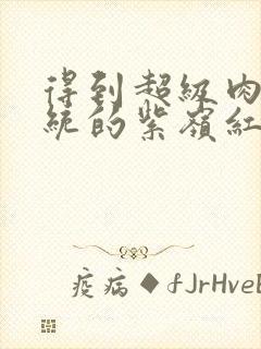 得到超级肉禽系统的紫岭红山