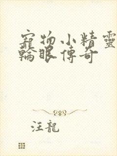 宠物小精灵之写轮眼传奇