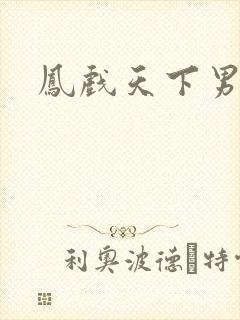 凤戏天下男