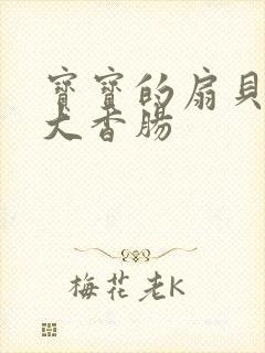 宝宝的扇贝想吃大香肠