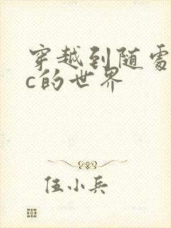 穿越到随处可以c的世界