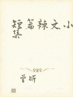 短篇辣文小说合集