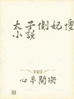 太子侧妃傻乎乎小说