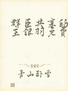 群臣共享的小公主银羽免费阅读