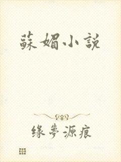 苏媚小说