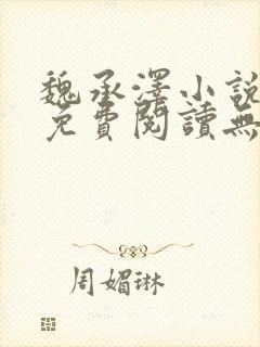 魏承泽小说全文免费阅读无弹窗笔趣