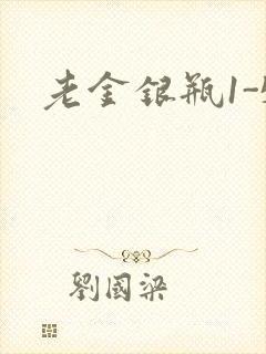 老金银瓶1-5