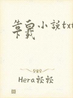 告白小说txt下载