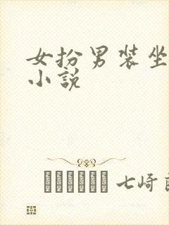 女扮男装坐江山小说