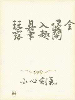 玩具入侵金银花露笔趣阁