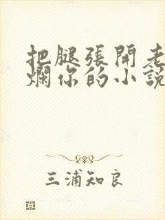 把腿张开老子臊烂你的小说