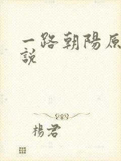 一路朝阳原著小说