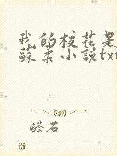 我的校花是福姬苏柔小说txt