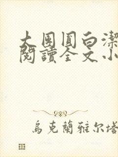 大团圆白洁免费阅读全文小说