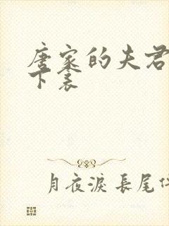 唐家的夫君们帘下衾