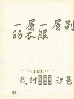 一层一层剥掉你的衣服