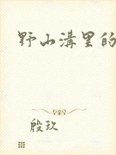 野山沟里的村庄