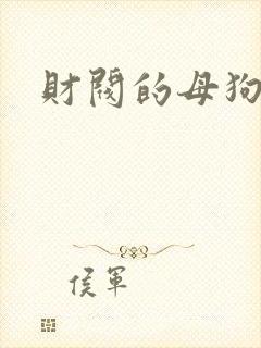 财阀的母狗们