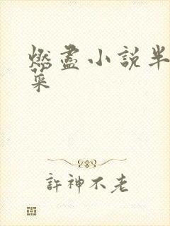 燃尽小说半截白菜