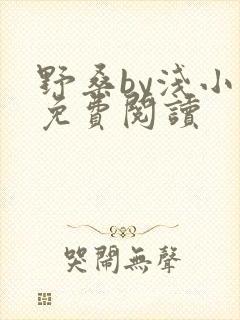 野桑by浅小说免费阅读