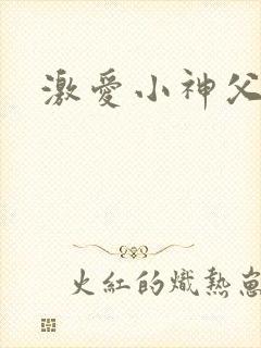 激爱小神父