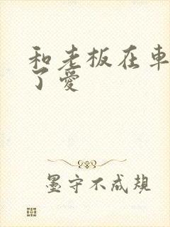 和老板在车里做了爱