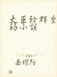 大臣干群皇太后的小说