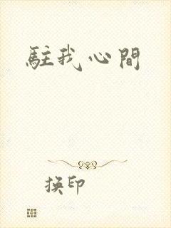 驻我心间