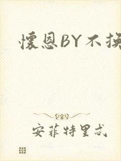 怀恩BY不换