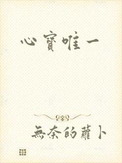 心宝唯一