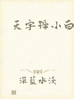 天字号小白脸