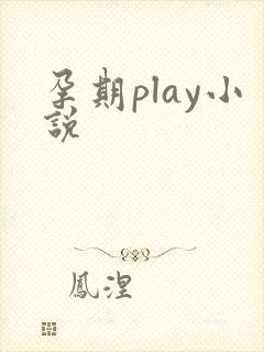孕期play小说