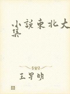 小说东北大炕全集