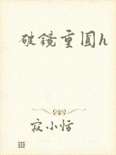 破镜重圆h